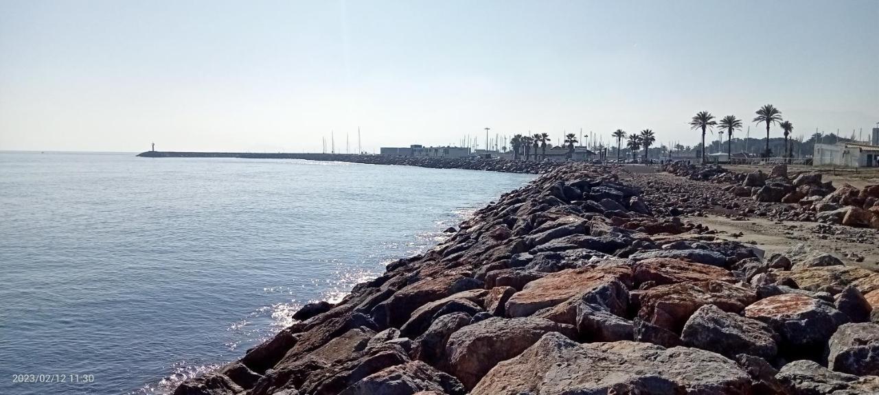 Le Liberte Plage Et Port 圣西普里安 外观 照片